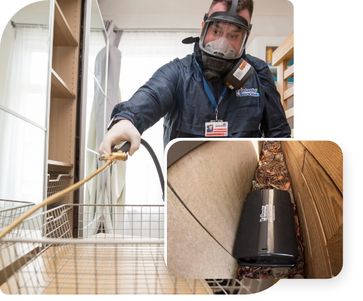 The image shows a pest exterminator who is treating a piece of furniture against pest, applying a pesticide with professional equipment.