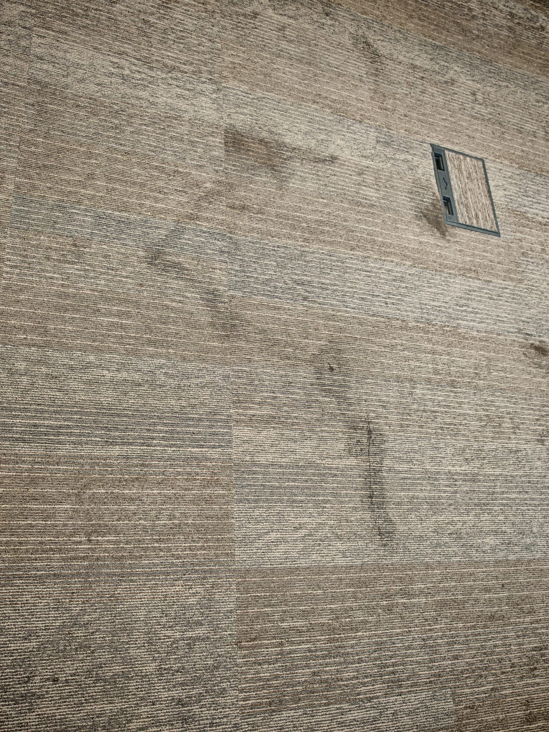 carpe-stain-cleaning-before