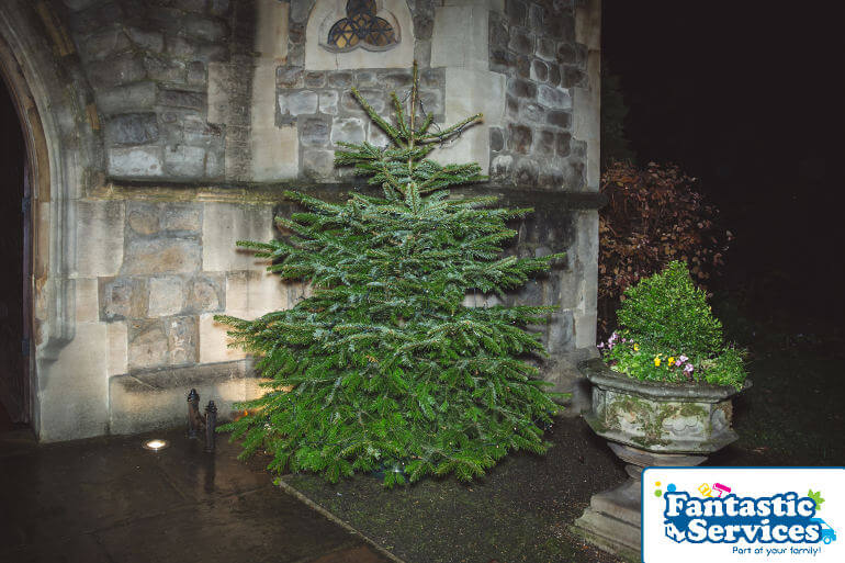 royal-trinity-hospice-christmas-tree