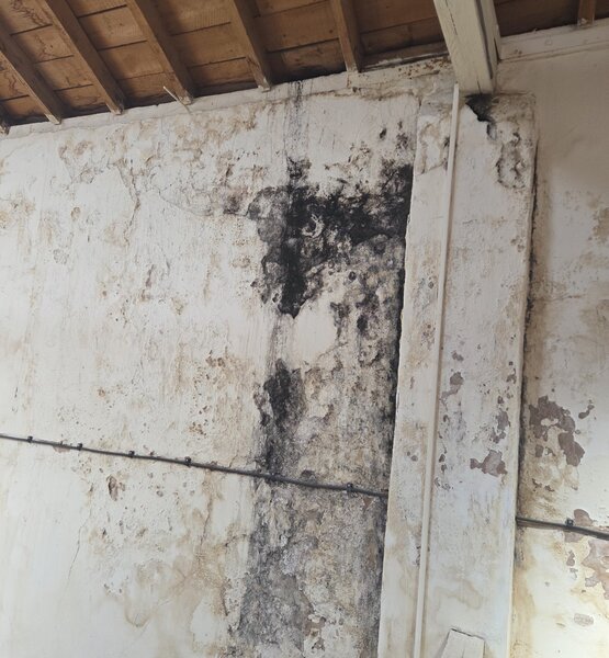 black-mould-damp-damage-wall Black mould growth and damp damage on a workshop wall before professional mould treatment