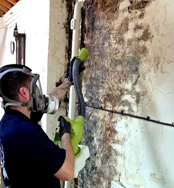 black-mould-on-a-wall Mould removal specialist using professional equipment on a heavily affected interior wall