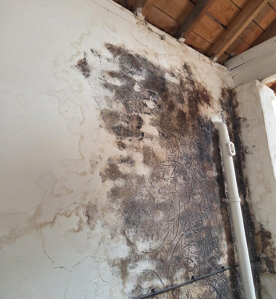 mould-damage-workshop-wall-before-treatment Extensive mould growth and damp damage on a workshop wall before professional mould removal treatment