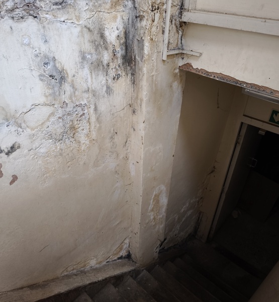 mould-damaged-stairwell-wall Mould and moisture damage on a stairwell wall beside a basement entrance.