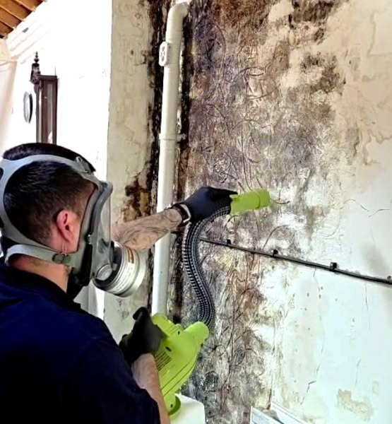 mould-removal-wall-treatment Mould removal specialist treating a heavily affected interior wall with professional equipment