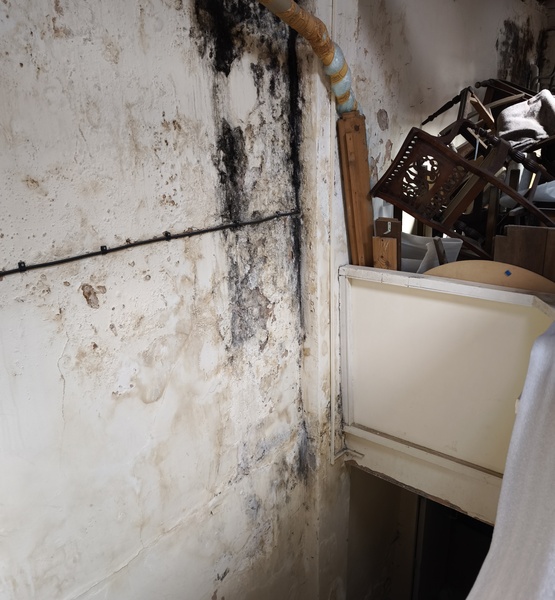 severe-mould-growth-on-a-wall Severe mould growth and damp staining on a workshop stairwell wall