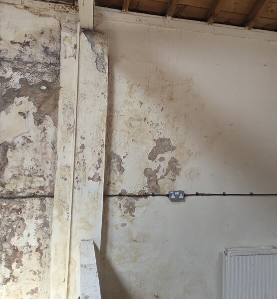 workshop-wall-after-mould-removal Workshop wall with damp staining and peeling paint after mould removal treatment