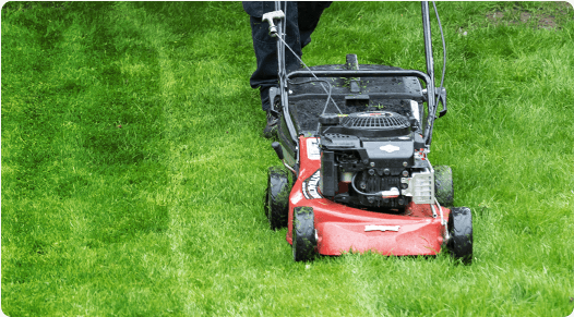 Fantastic Gardener mowing lawn