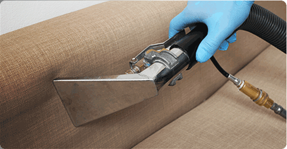 Fantastic pro cleaning a sofa close up