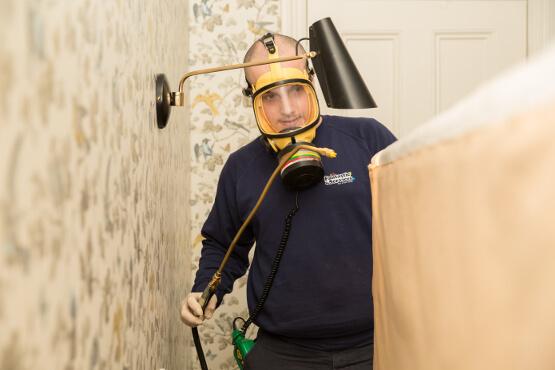 bed bug treatment with pesticides