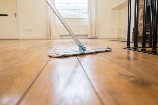 disinfection service after pest control
