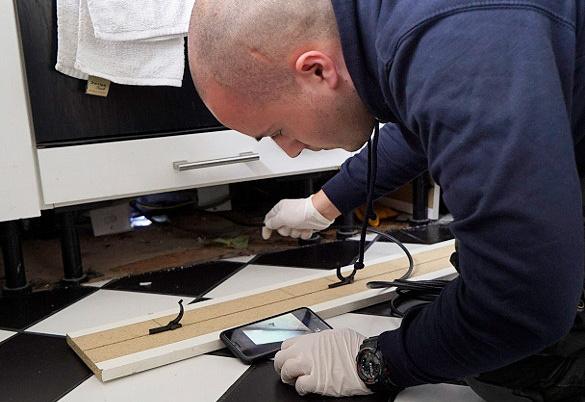 mice control inspection