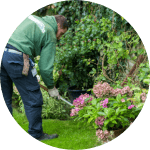 gardening chores